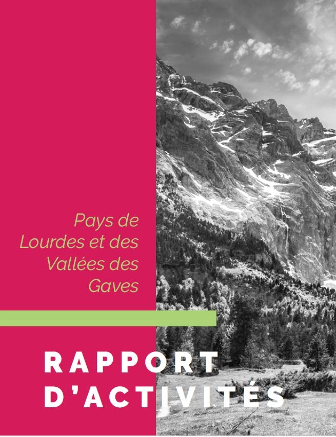 Rapport d'activités 2017