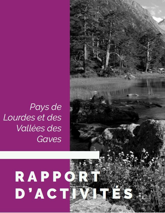 Rapport d'activités 2018