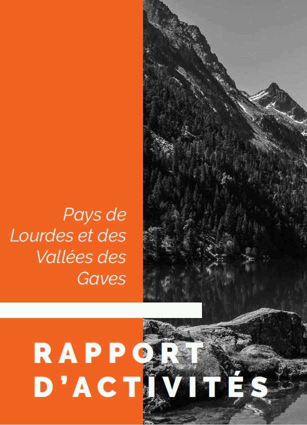 Rapport d'activités 2019