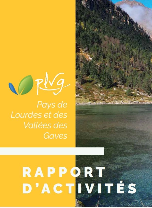 Rapport d'activités 2020
