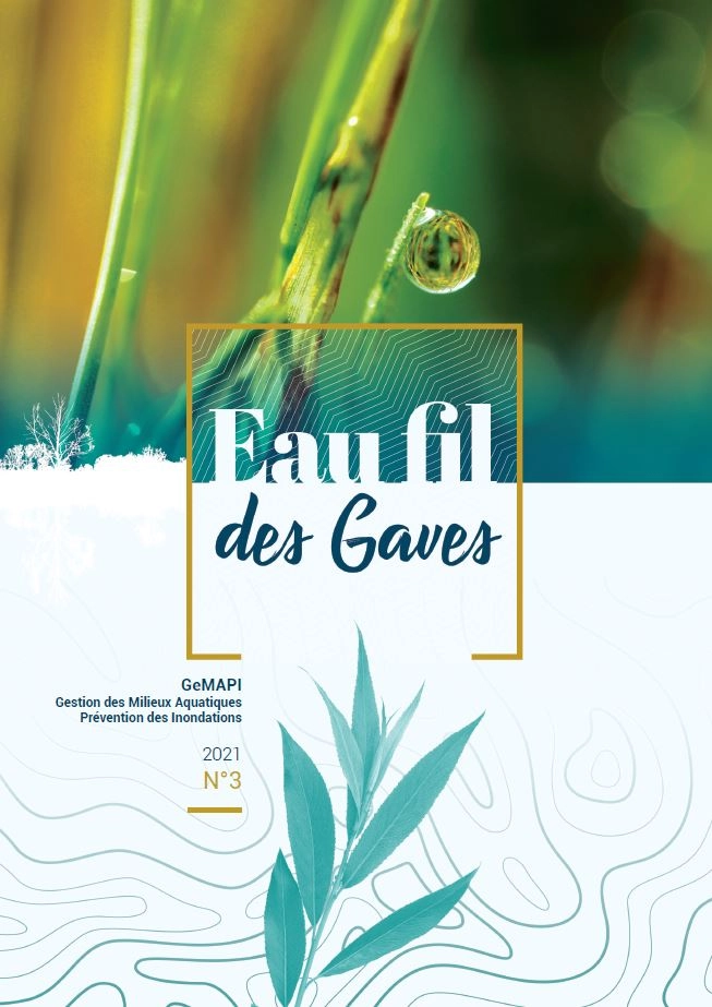 Eau fil des gaves n°3